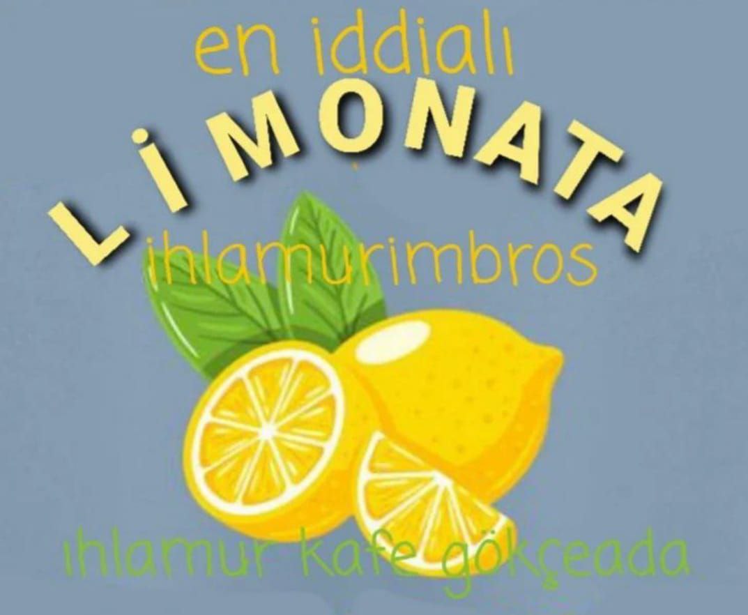 Limonata (El Yapımı)