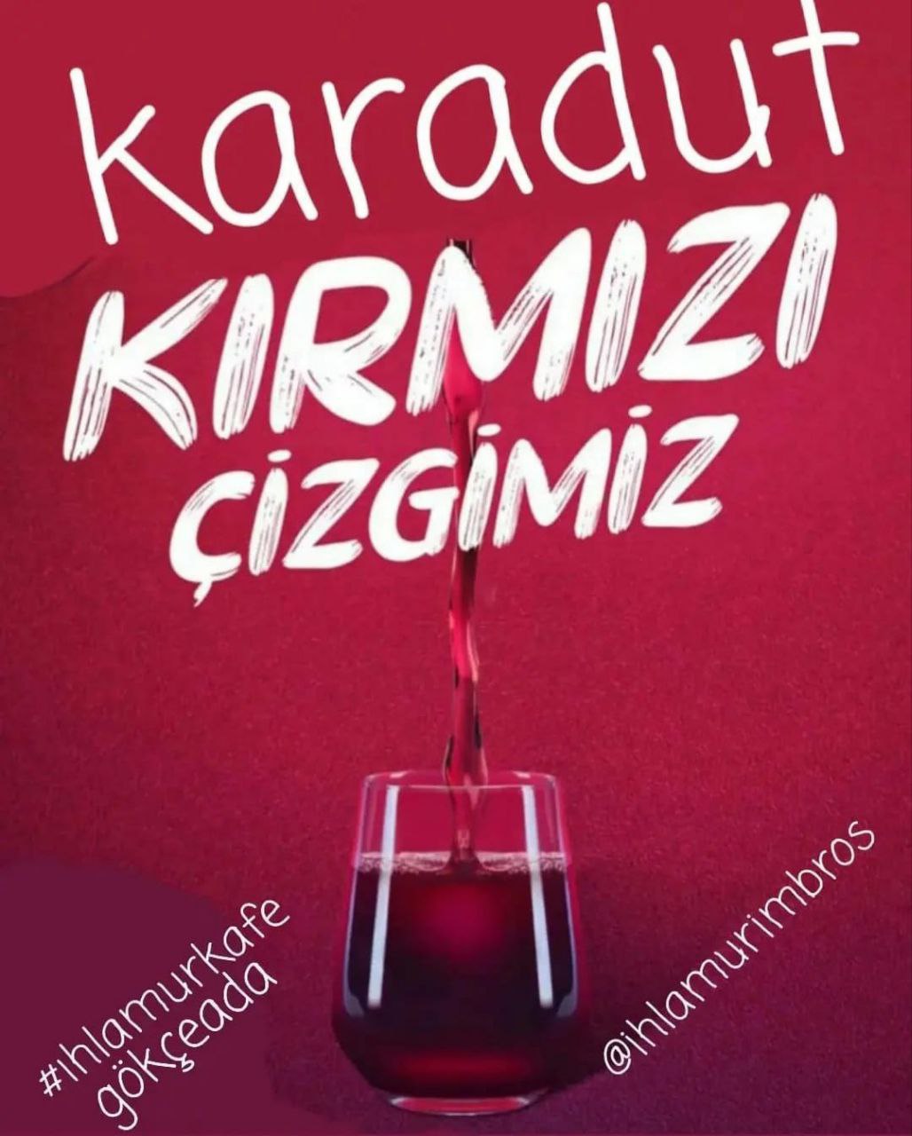Karadut Suyu (El Yapımı)