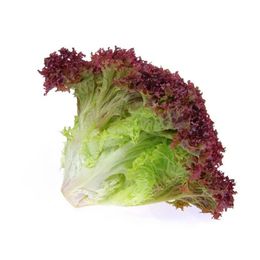 Kırmızı Marul Adet