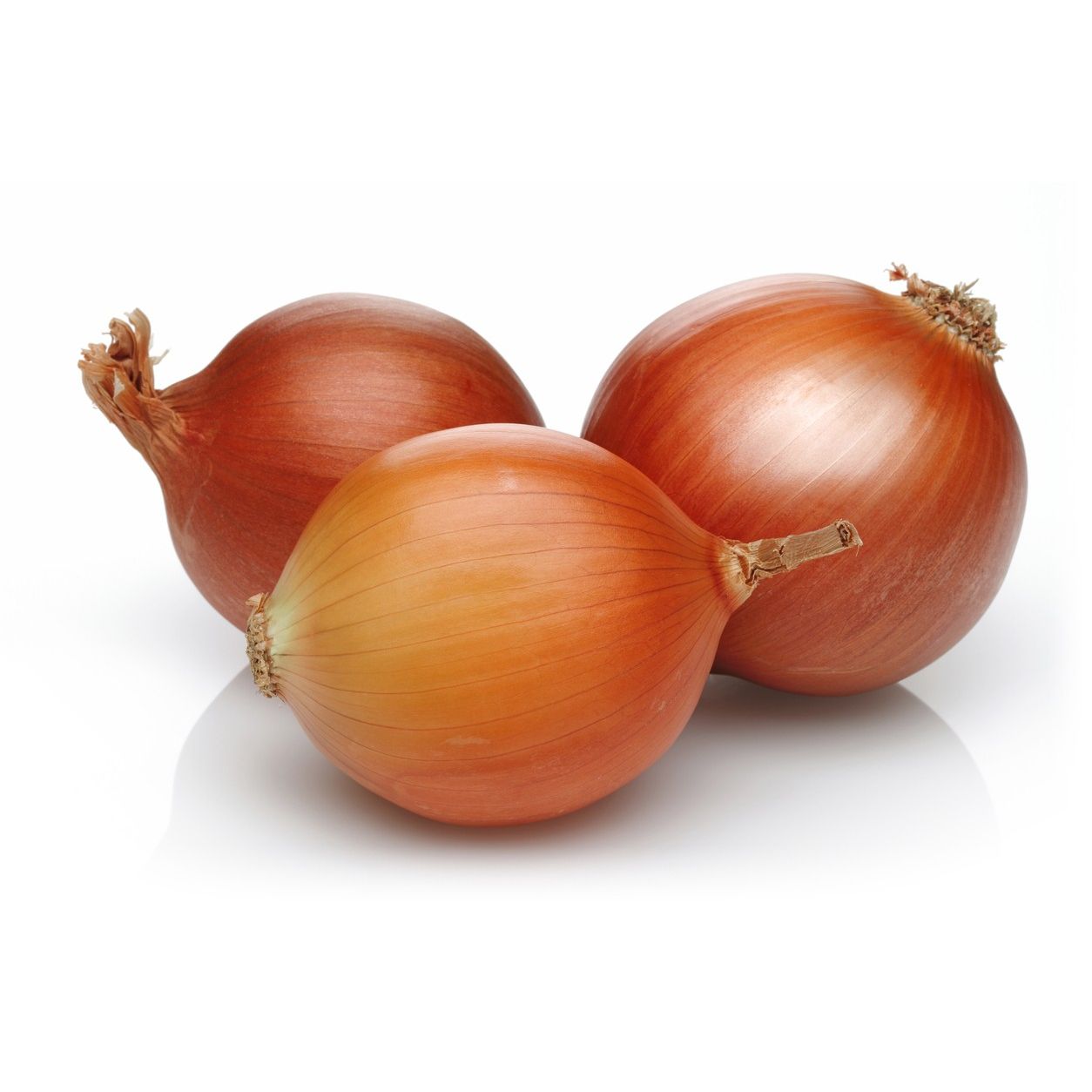 Kuru Soğan 1 KG