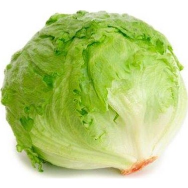 Marul Iceberg Adet