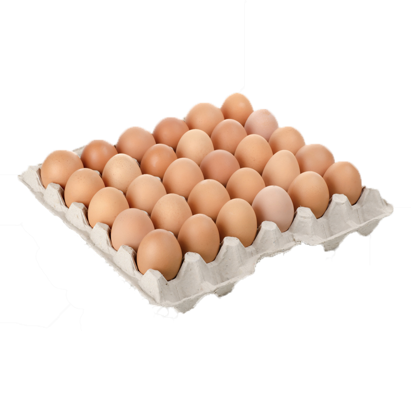 Yumurta 30'lu